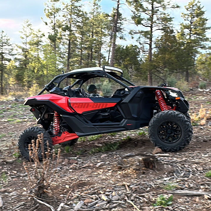 Red Can-Am UTV on a pine-forest mountain trail